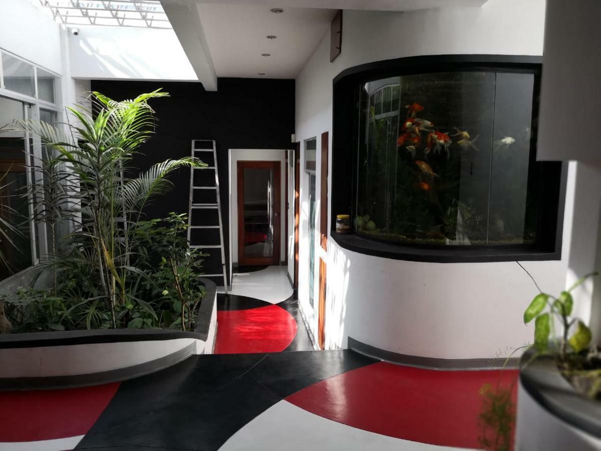 Apartments And Rooms Distecon Ville de Guatemala Extérieur photo