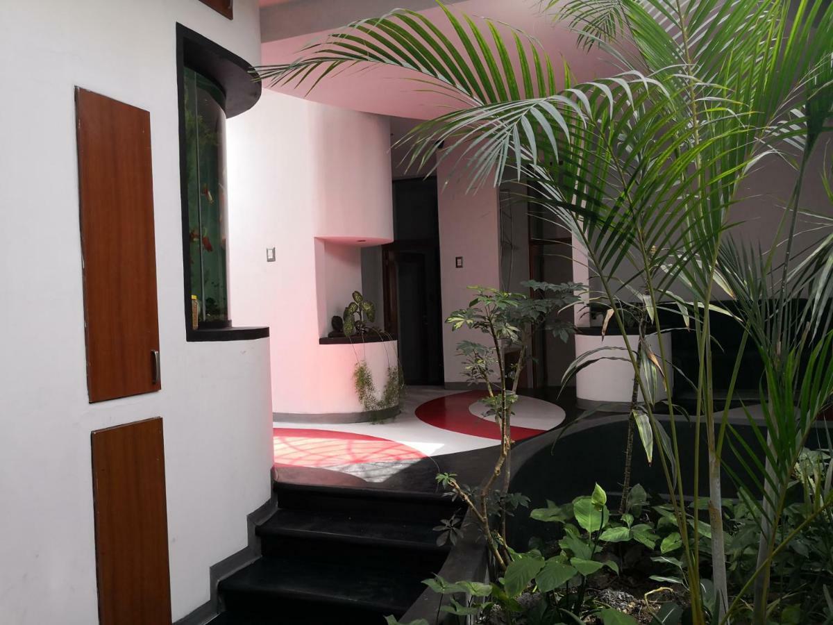 Apartments And Rooms Distecon Ville de Guatemala Extérieur photo